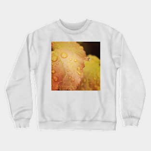 Golden heuchera Crewneck Sweatshirt